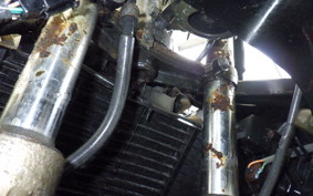 HONDA CBR250R GEN 2 1981 MC19