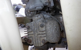 HONDA LITTLE CUB C50