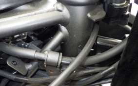 KAWASAKI ZX-4RR 2024 ZX400P