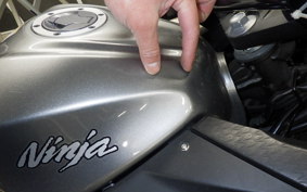 KAWASAKI NINJA 250 ABS 2020 EX250L