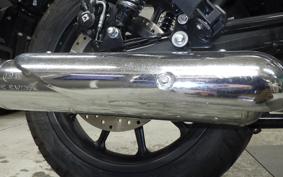 OTHER +ENFIELD ﾒﾃｵ350 2024