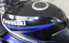 KAWASAKI ZZ-R250 EX250H