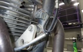 KAWASAKI SUPER SHERPA 2020 KL250G