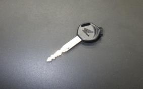 HONDA TACT-4ﾍﾞｰｼｯｸ AF79