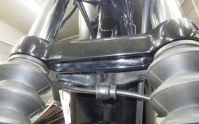 HARLEY XL883N 2015