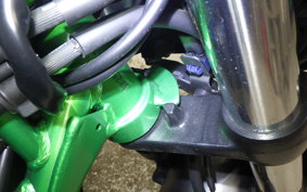 KAWASAKI Z250 EX250Y