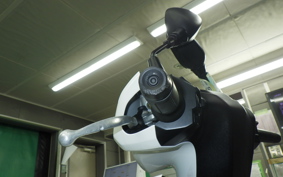 YAMAHA CYGNUSｸﾞﾘﾌｧｽ 2025 SEJ4J