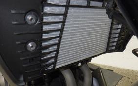 YAMAHA MT-25 A RG74J