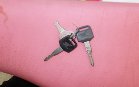 HONDA XL DEGREE MD26