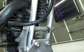 HONDA TLR250R 2001 MD18