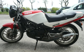 YAMAHA RZ250R 29L