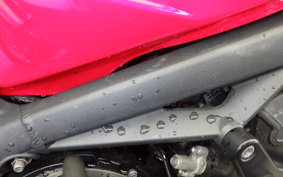 TRIUMPH STREET TRIPLE R 2011