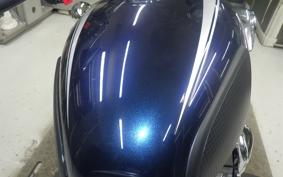 KAWASAKI W800 2022 EJ800E