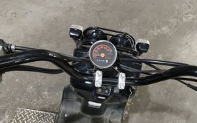 HONDA ZUMAR AF58