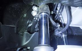 HONDA FORZA 250 MF17