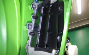 KAWASAKI KLX250 Gen.2 2023 LX250S