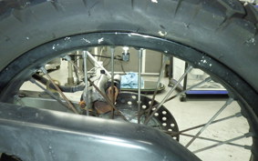 KAWASAKI SUPER SHERPA 2017 KL250G