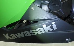 KAWASAKI NINJA 250 EX250L