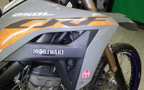 HONDA CRF250L 2020 MD47