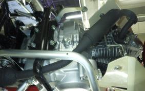 HONDA C110 SUPER CUB JA59