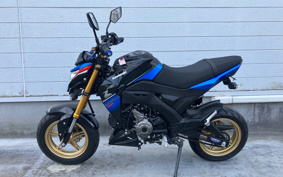 KAWASAKI Z125 PRO BR125H