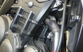 TRIUMPH STREET TRIPLE S 2021
