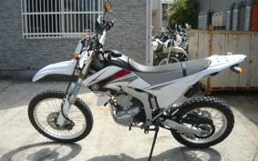YAMAHA WR250R DG15J