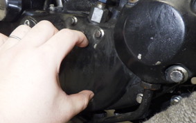 OTHER +UNREGISTERED MODEL by BDS1000 2025