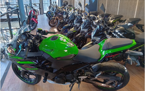 KAWASAKI NINJA 400 KRT ED 2020 EX400G
