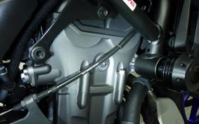 YAMAHA MT-07 2024 RM33J