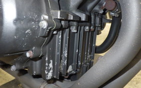 HONDA HORNET 250 MC31