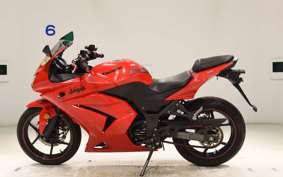 KAWASAKI NINJA 250R