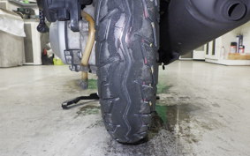 HONDA TODAY 2008 AF61