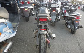 HONDA GROM