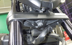 HONDA REBEL 1100 DCT 2024 SC83