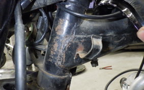 HONDA GORILLA 2024 Z50J