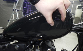 OTHER +UNREGISTERED MODEL by BDS1000 2025