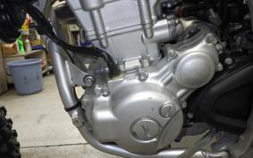 YAMAHA WR250R 2025 DG15J