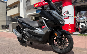 HONDA FORZA 250 MF13