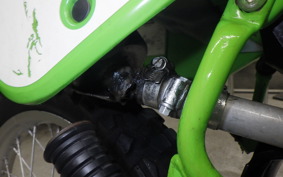 KAWASAKI KDX125 SR 2019 DX125A