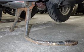 HONDA DIO GEN 3 AF34