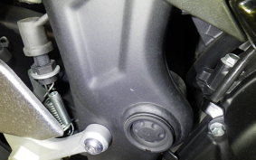YAMAHA YZF-R25 A 2009 RG43J