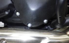 TRIUMPH SPEED400 2024