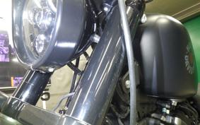 HARLEY XL883N 2019