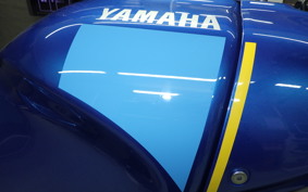YAMAHA XSR900 2024 RN80J