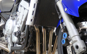 YAMAHA FZS1000 FAZER 2006 RN14