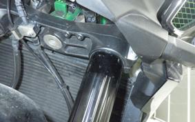 KAWASAKI ZH2 2020 ZRT00K