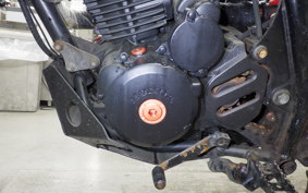 HONDA FTR223 2010 MC34
