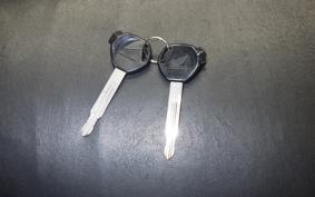 HONDA LEAD 110 2024 JF19