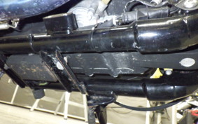 OTHER +HD. XL1200X 2010